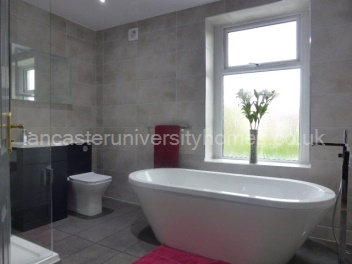 Lux Bathroom 