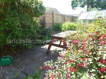 Rear garden patio area