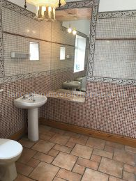 Huge bathroom with beautiful mosaic tiles 